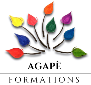 Logo fond transparentcrop2